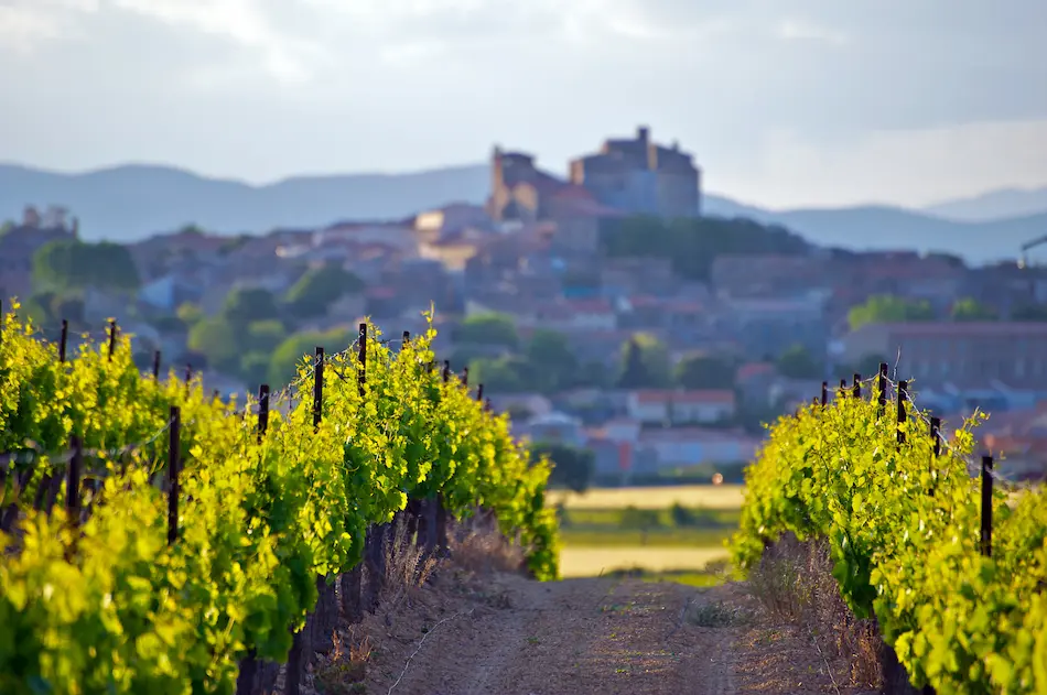 Séminaire dans le sud de la France, proche d'un vignoble
